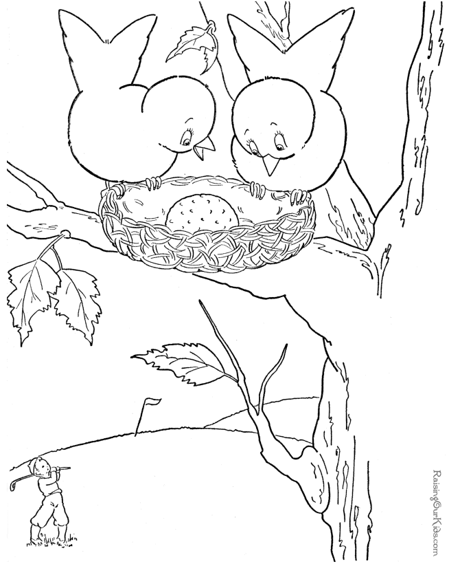 bird-coloring-pictures-005