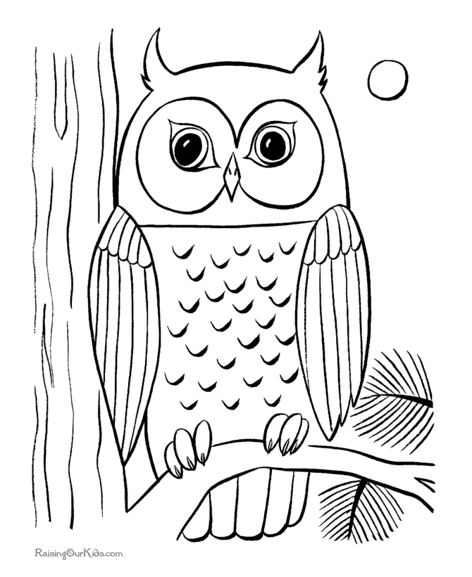 a owl coloring pages - photo #15