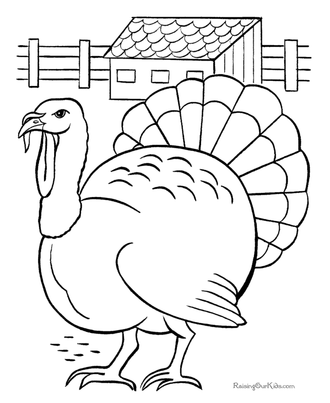 Free printable turkey coloring page