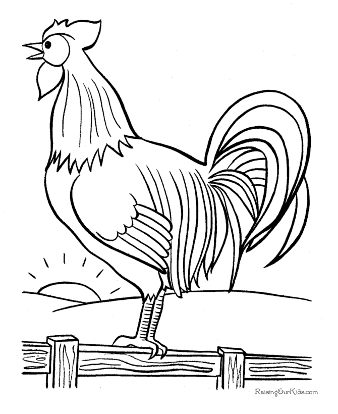 Free printable rooster coloring page