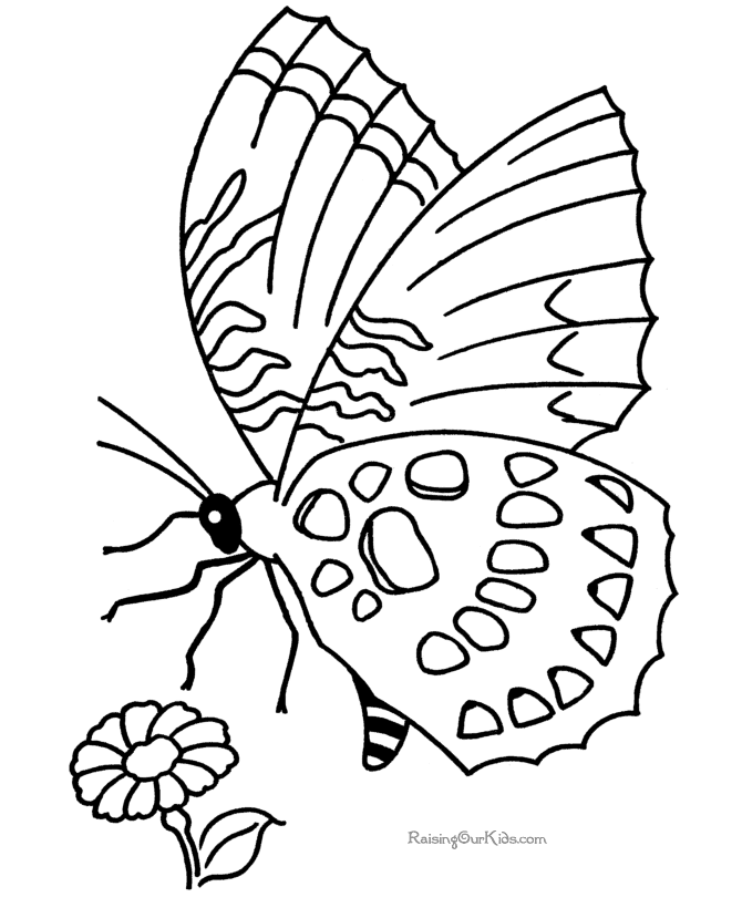 Free printable Butterfly coloring picture