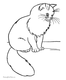 Kitten and Cat Coloring Pictures
