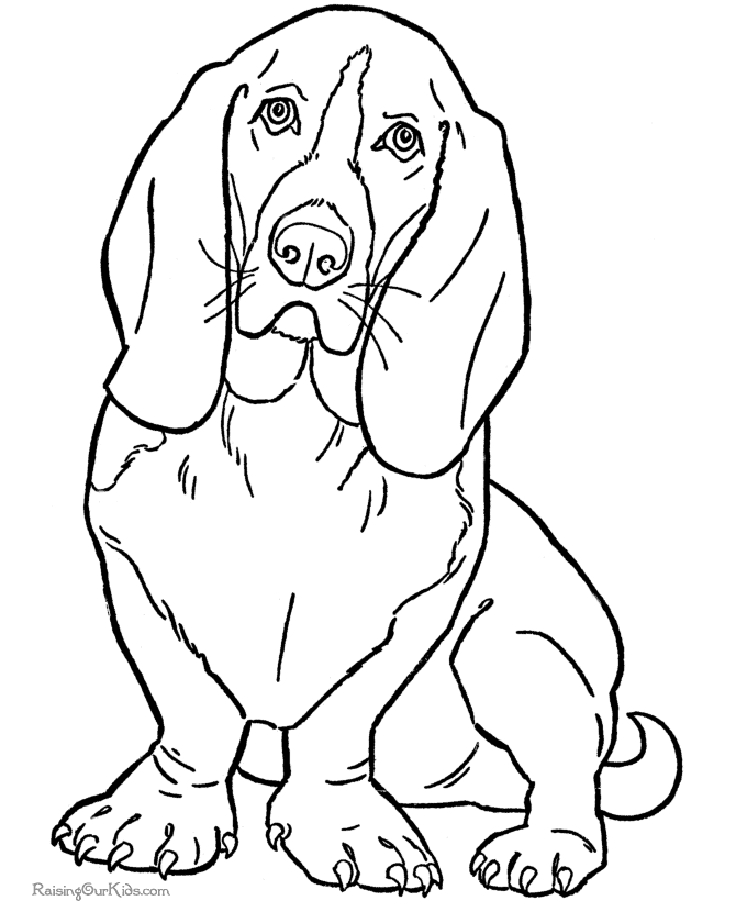 Pet dog coloring pages of dogs