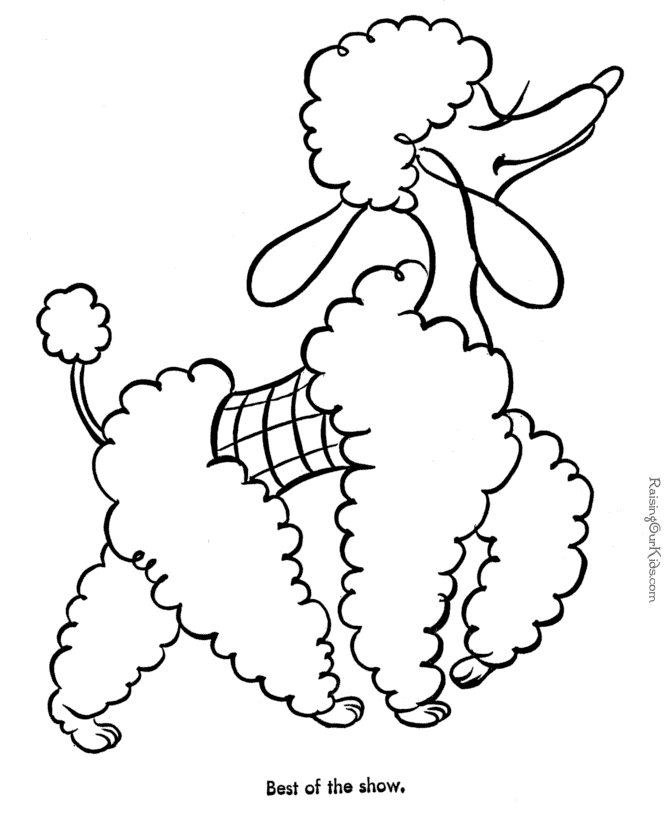 dog picture for kids to color