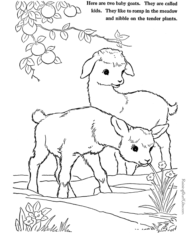 Farm Animal coloring pages - goats page to print and color
