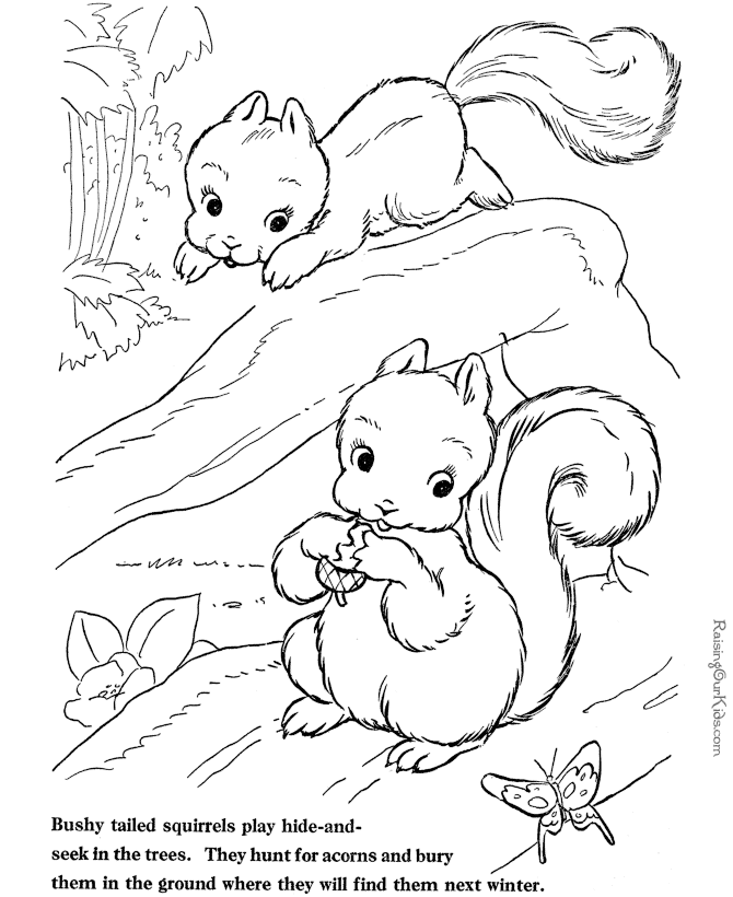 Farm animal coloring page - Squirrel coloring sheet