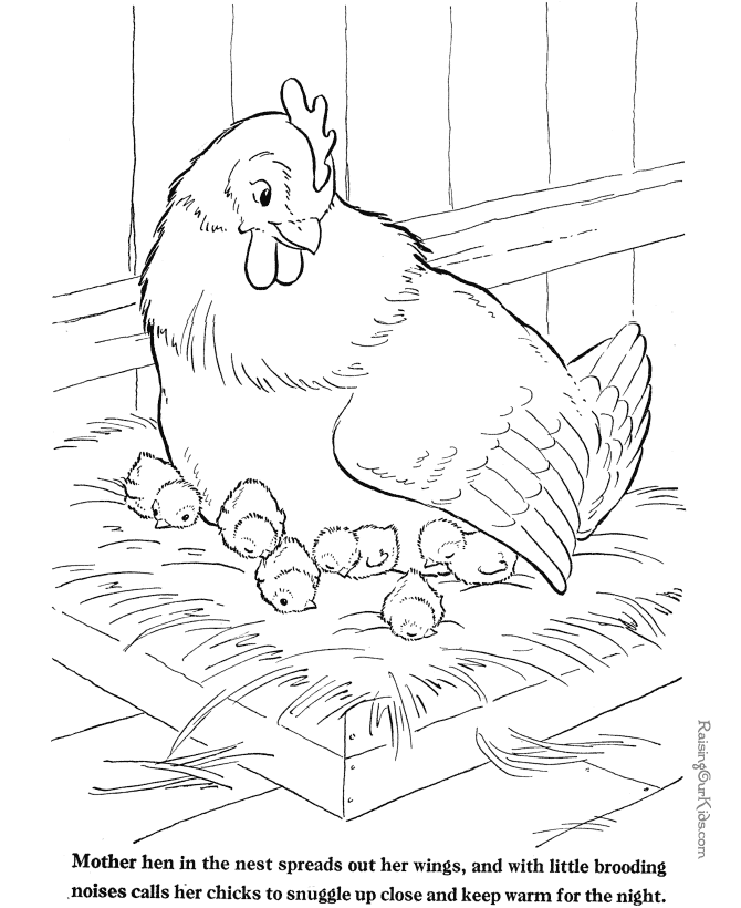 Farm animal coloring page - Chickens to print and color