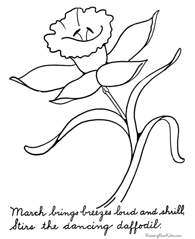 Free flower coloring book of a daffodil