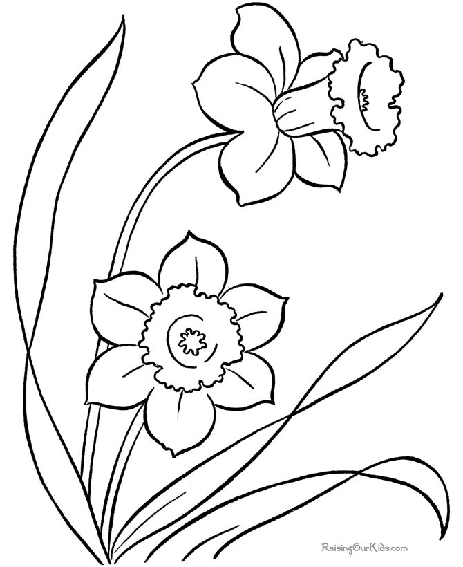 Free coloring sheet of flowers