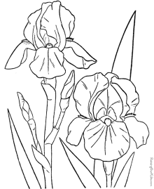 Flower coloring pictures