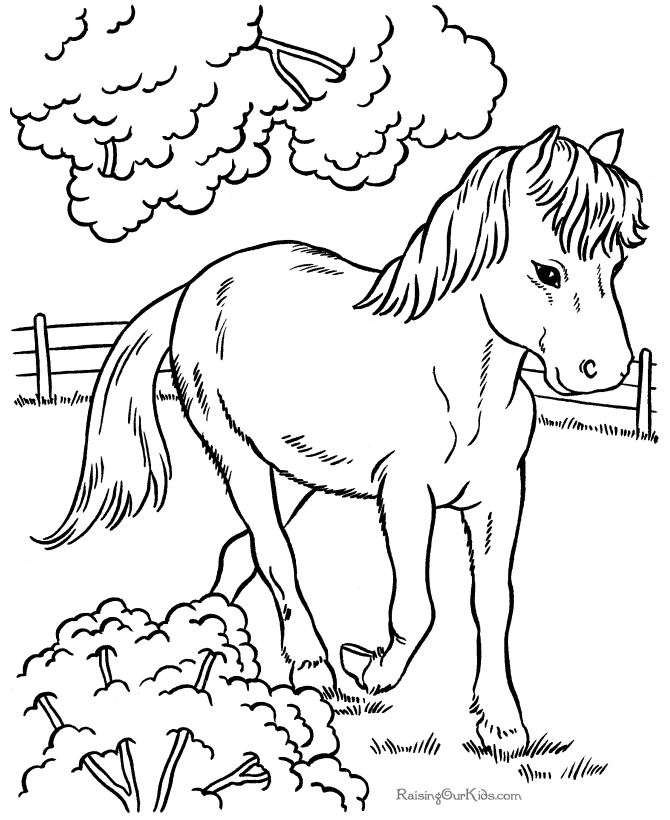 Horses to print and color