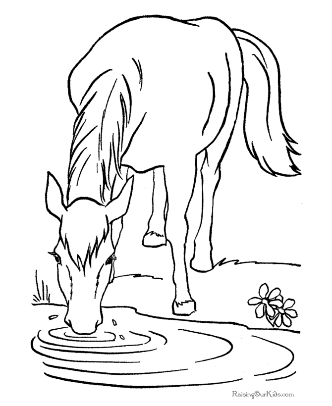 fun-horse-coloring-pages-for-your-kids-printable