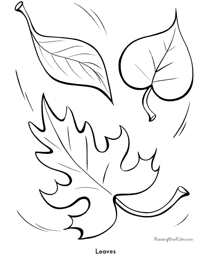 leaves Colouring Pages (page 2)