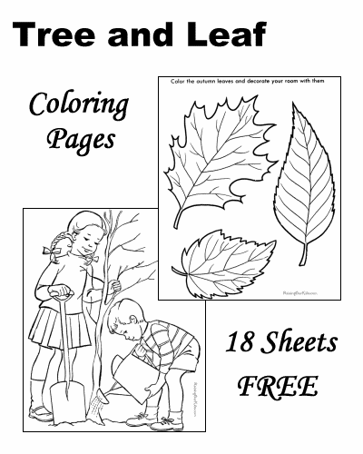 Tree and leaf coloring pages!