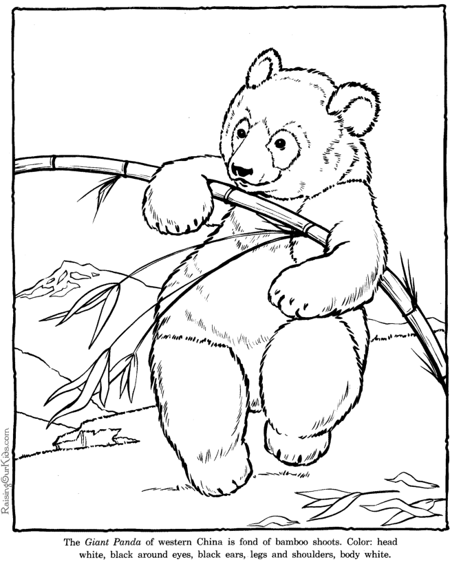 panda coloring pages drawing - photo #18