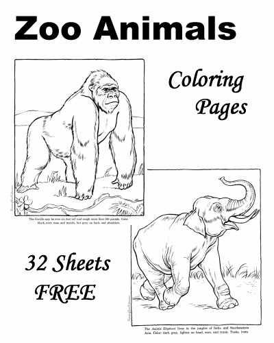 zoo animals coloring pages free printables - photo #12