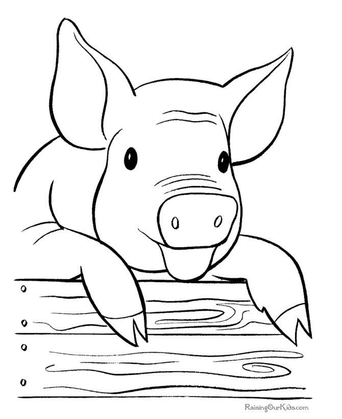 Farm pig coloring page