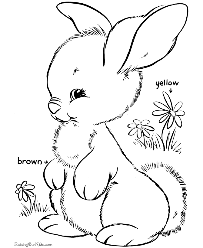 preschool free coloring pages - photo #49