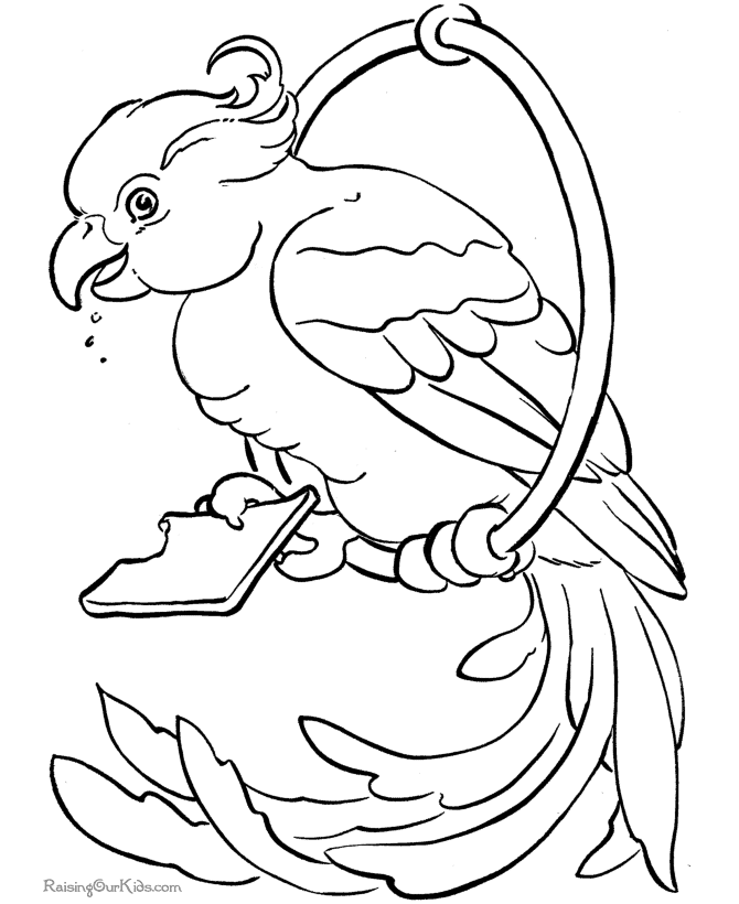 Free printable bird coloring page of parrot