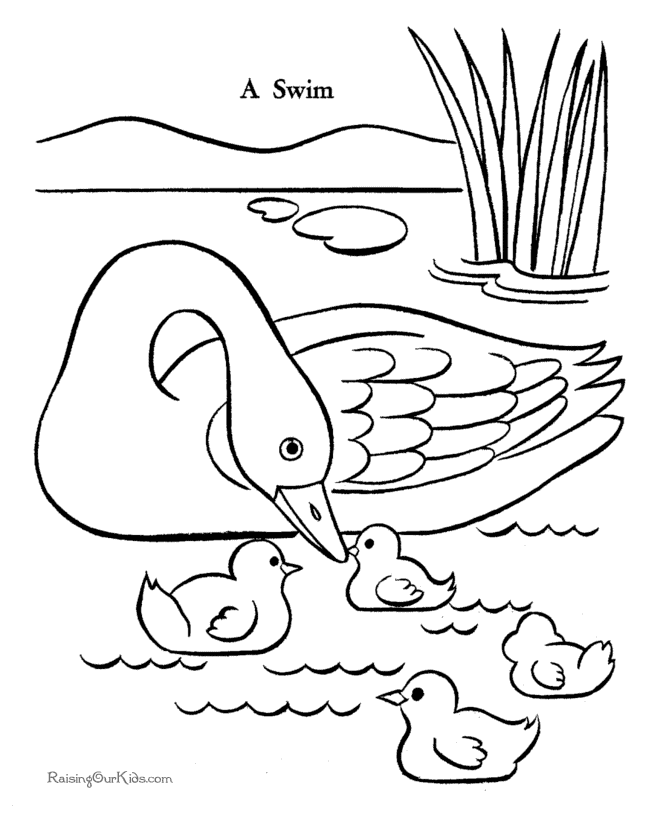 Free printable duck page to color
