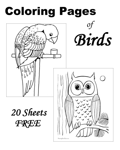 Bird coloring sheets - 20 FREE printable pages!