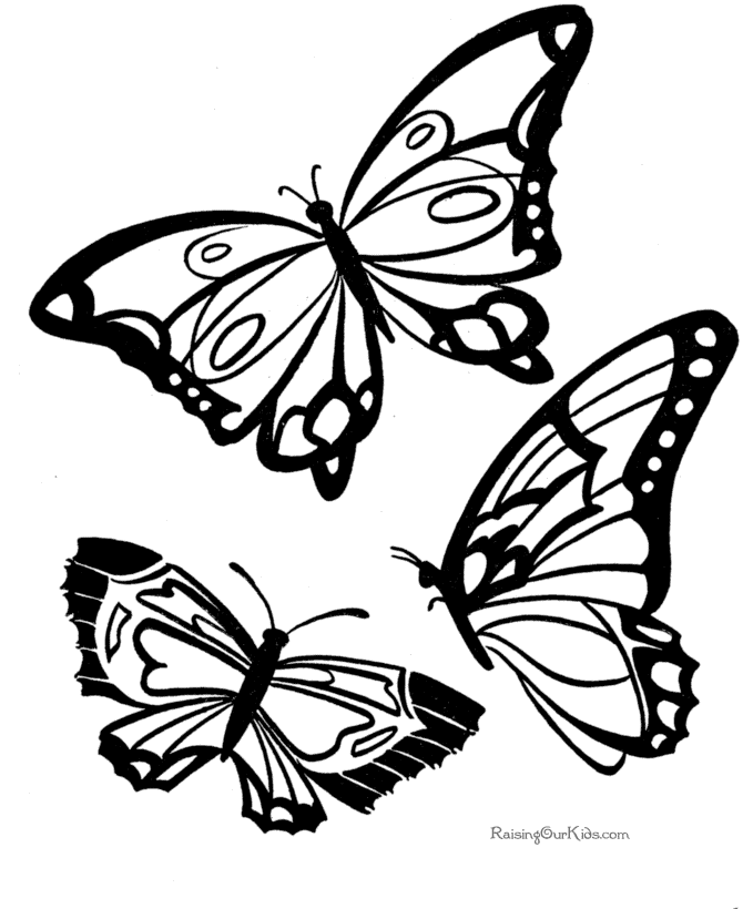Printable animal coloring pages - butterfly