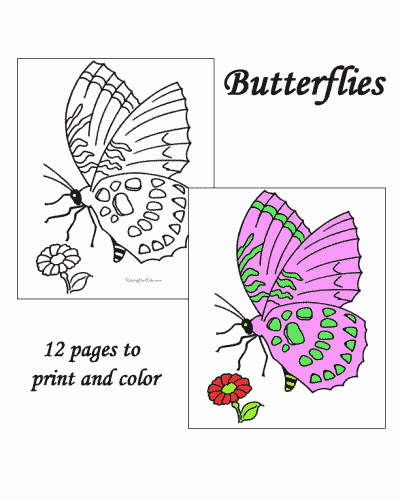 Butterfly coloring pages!