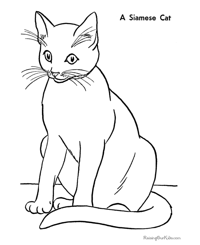 Free Printable Siamese Cat Coloring Page
