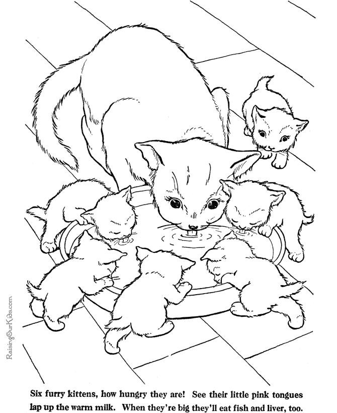 Free printable kitten image to color