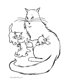 Cat coloring pictures