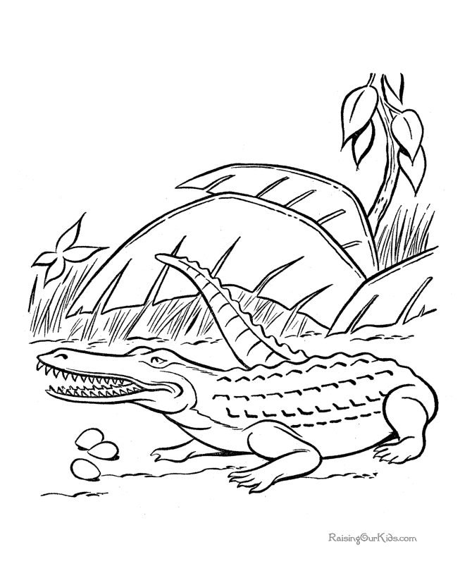 Free Dinosaur - crocodile coloring page