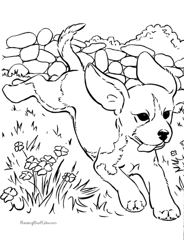 free-printable-dogs-coloring-pages-102