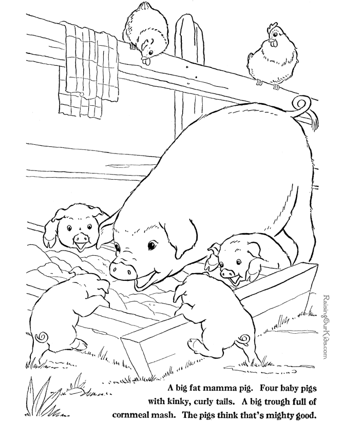 Farm Animal coloring pages - Pigs to print and color