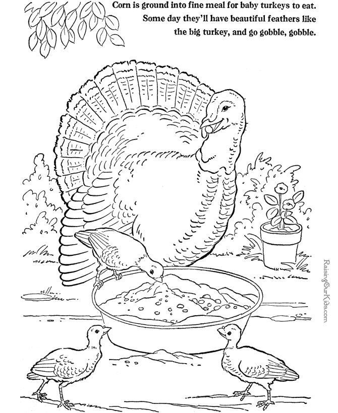 Farm Animal Coloring Page Turkey To Print And Color 004