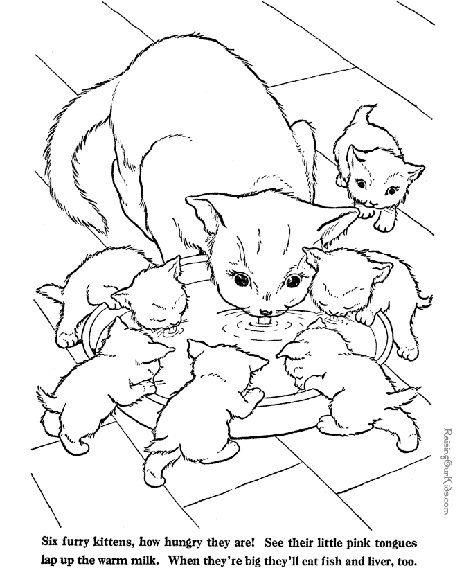 Farm Animal coloring page - Cat to print and color