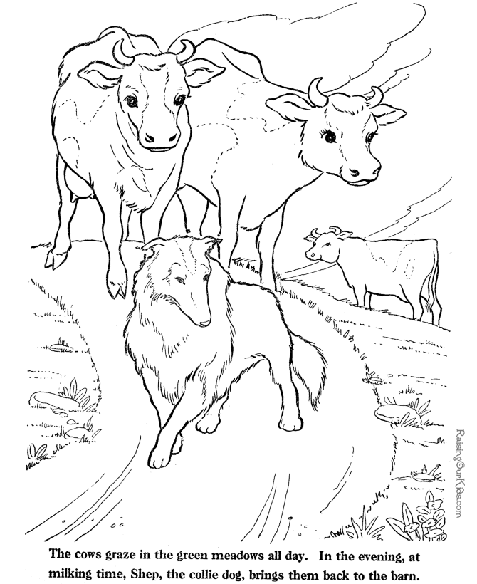 Cows coloring page - Farm Animals to print and color 011