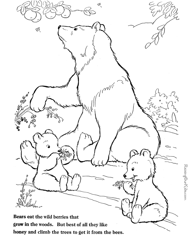 Bear coloring page to print and color