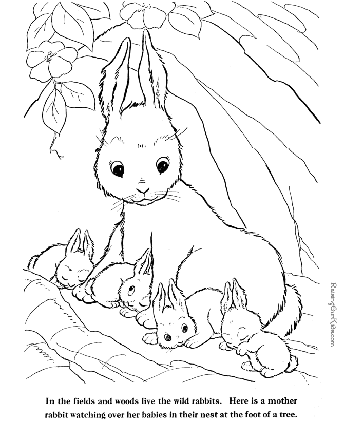 Rabbit coloring sheet - Farm animals