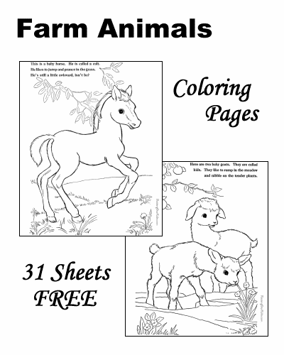 Farm Animal coloring sheets