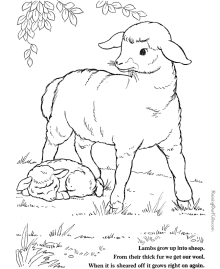 Farm animal coloring pages - Sheet
