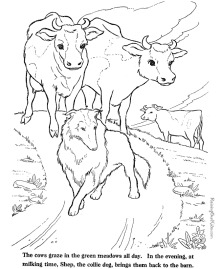 Farm animal coloring pages - Cows