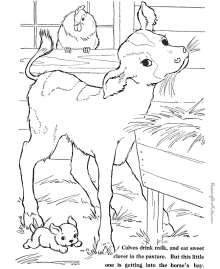 Farm animal coloring sheets