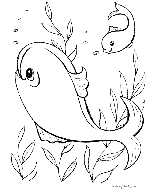 Free fish coloring pictures