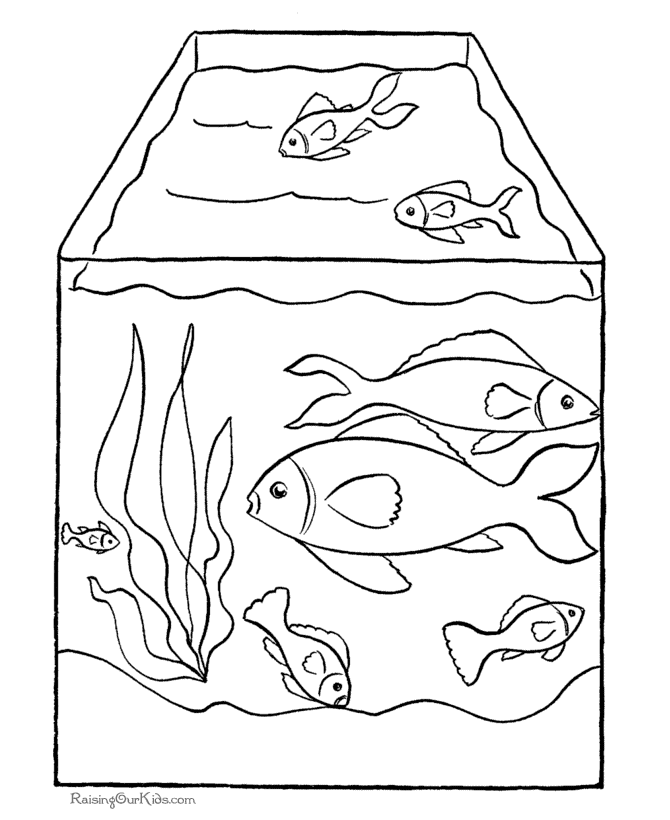 Printable fish coloring picture