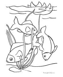 Fish coloring pictures