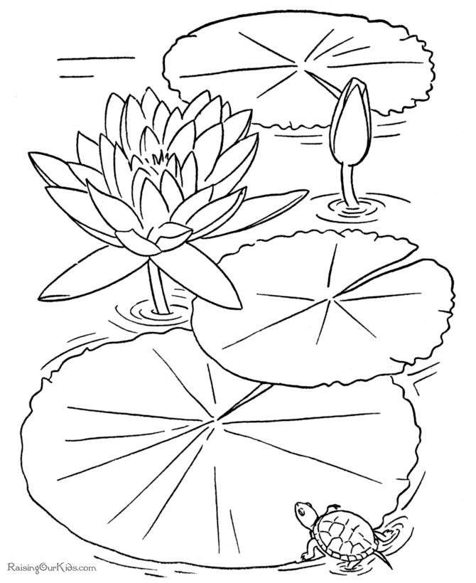 Free printable flower coloring book page
