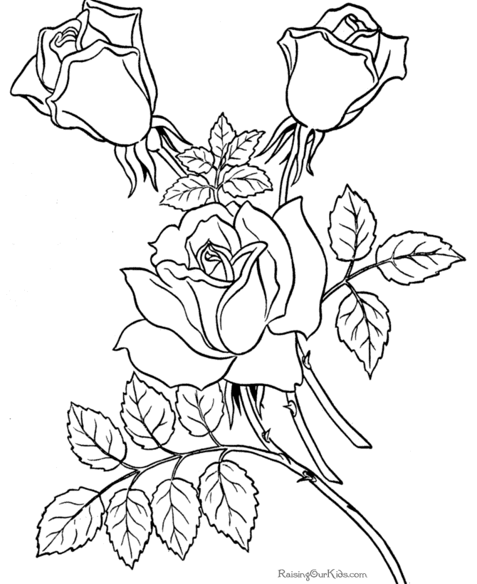 Free coloring sheets of Roses