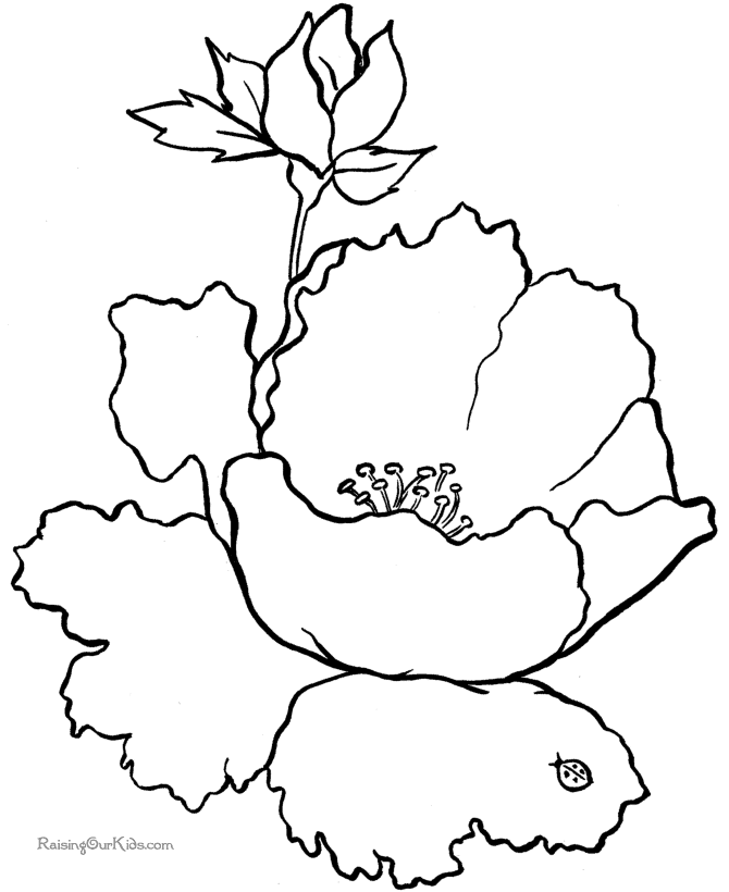 Free flower coloring sheets