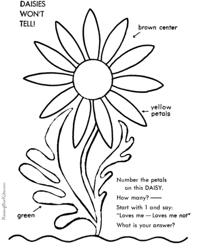 Flowers page to color - Daisies