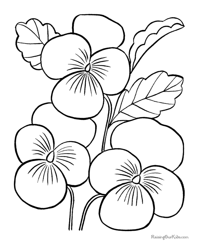 Printable flowers pages to color
